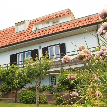 La Casa Di Iole Lägenhet Cogna Exteriör bild